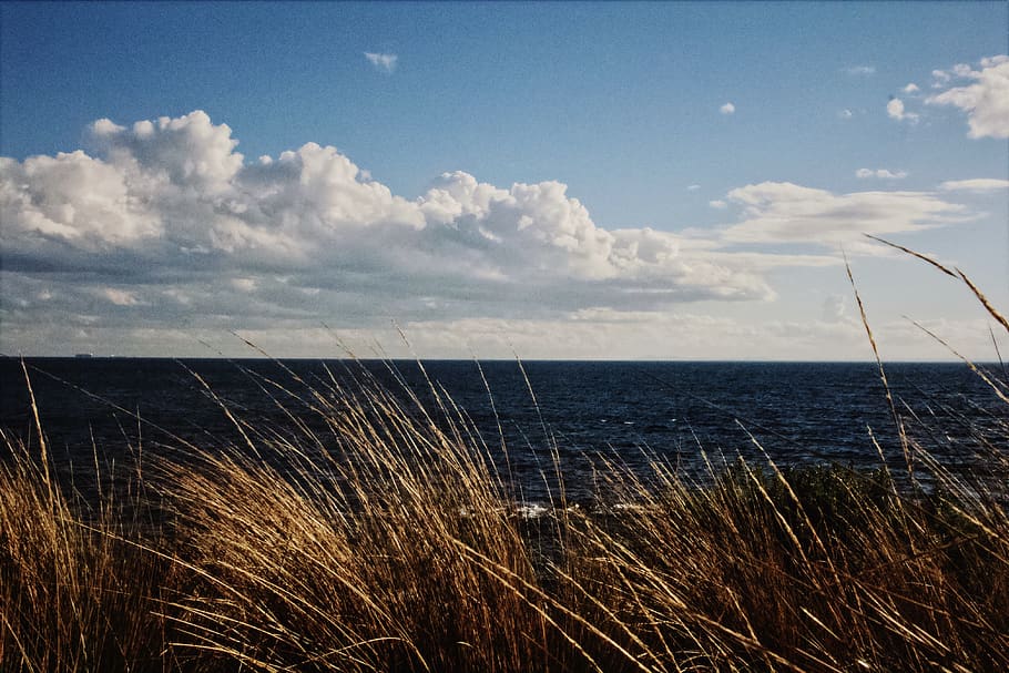 sky, sea, water, cloud - sky, horizon, horizon over water, beauty in nature HD wallpaper