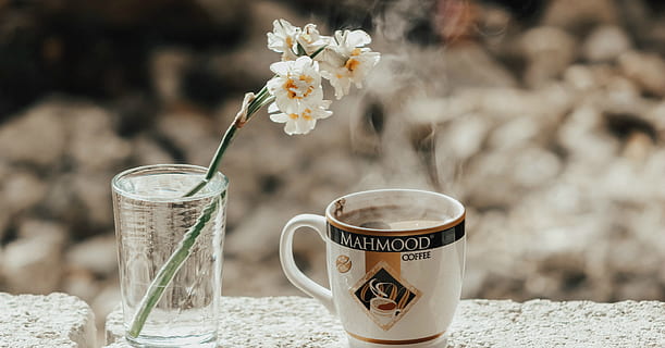 White-and-yellow Flowers in Clear Glass Beside White and Black Mahmood Ceramic Cup HD wallpaper