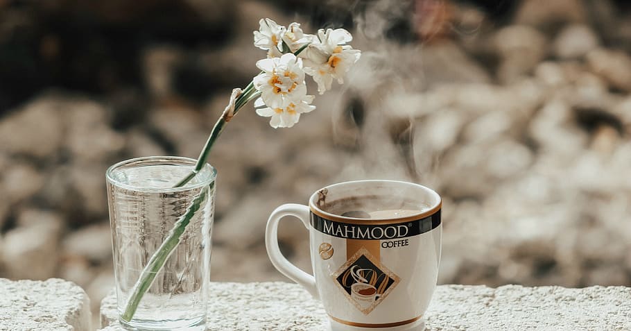 White-and-yellow Flowers in Clear Glass Beside White and Black Mahmood Ceramic Cup HD wallpaper