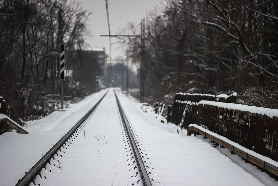 trees, tracks, train, forest, winter, cold, black, white, snow HD wallpaper