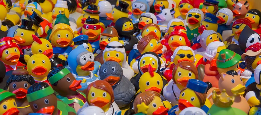 toy, duck, play, fig, figure, child, representation, large group of objects HD wallpaper