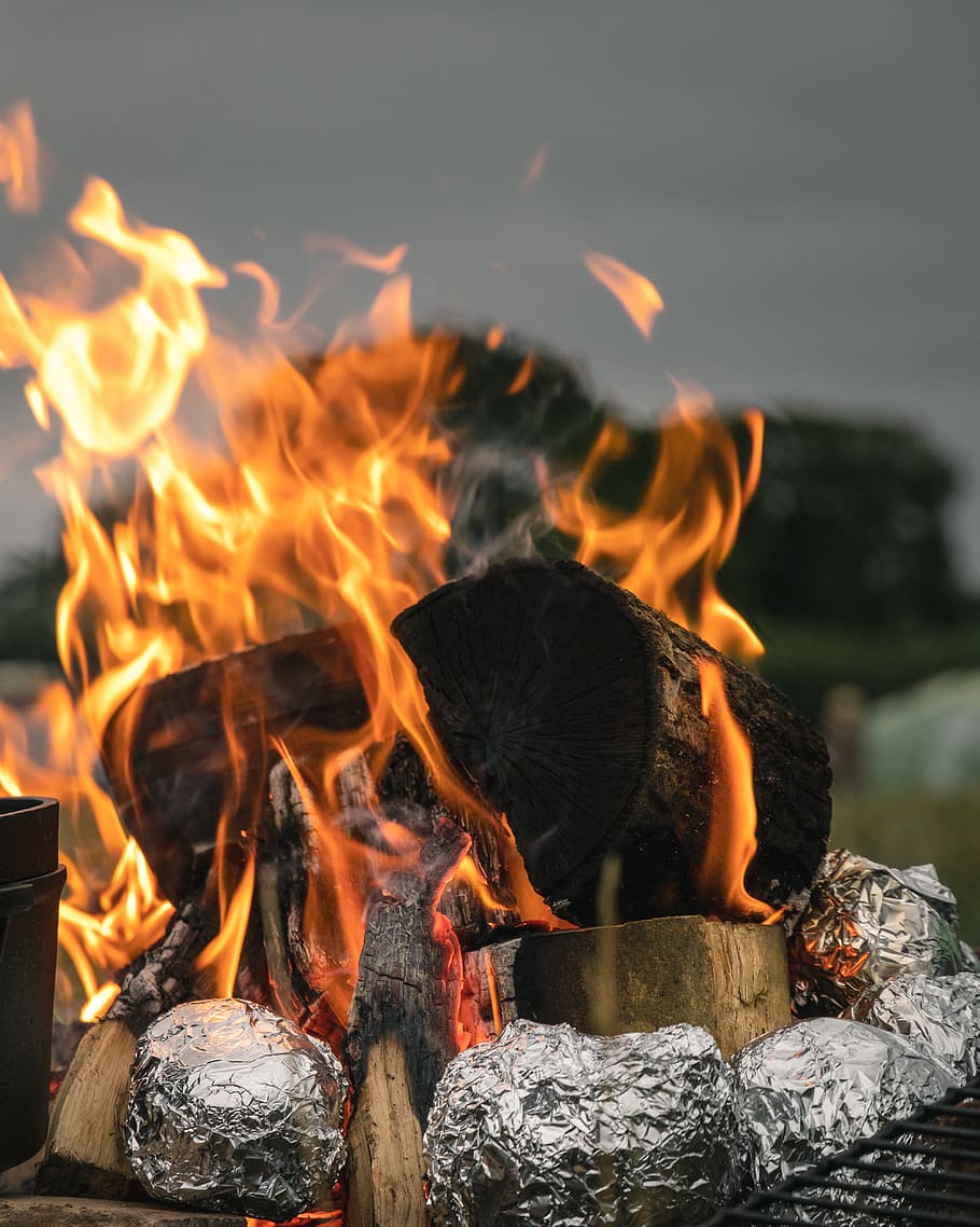 black woods with flame, fire, bonfire, camping, campfire, leisure activities HD wallpaper