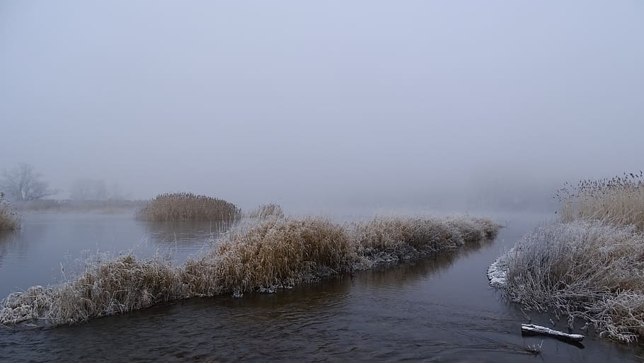 fog, water, landscape, rest, tranquility, scenics - nature HD wallpaper