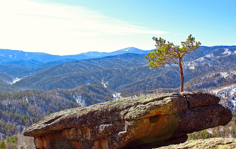 pine, stone, rocks, mountains, cyanosis, snow, winter, clouds HD wallpaper