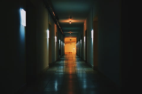 hallway with lights on, corridor, germany, haus der kunst, münchen HD wallpaper