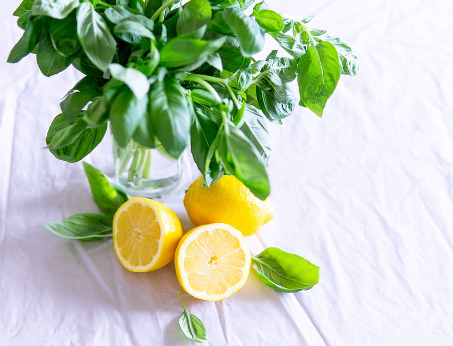 Sliced Lemon and Basil Leaves on Glass, citrus, close-up, delicious HD wallpaper