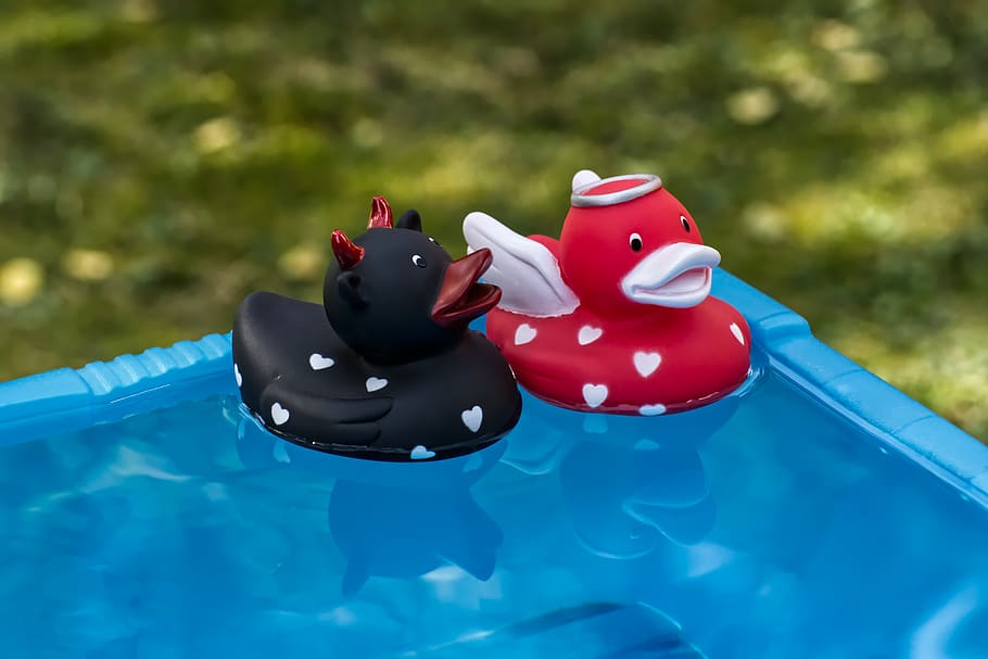 quietscheenten, devil, contrast, rubber ducks, angel, cute HD wallpaper
