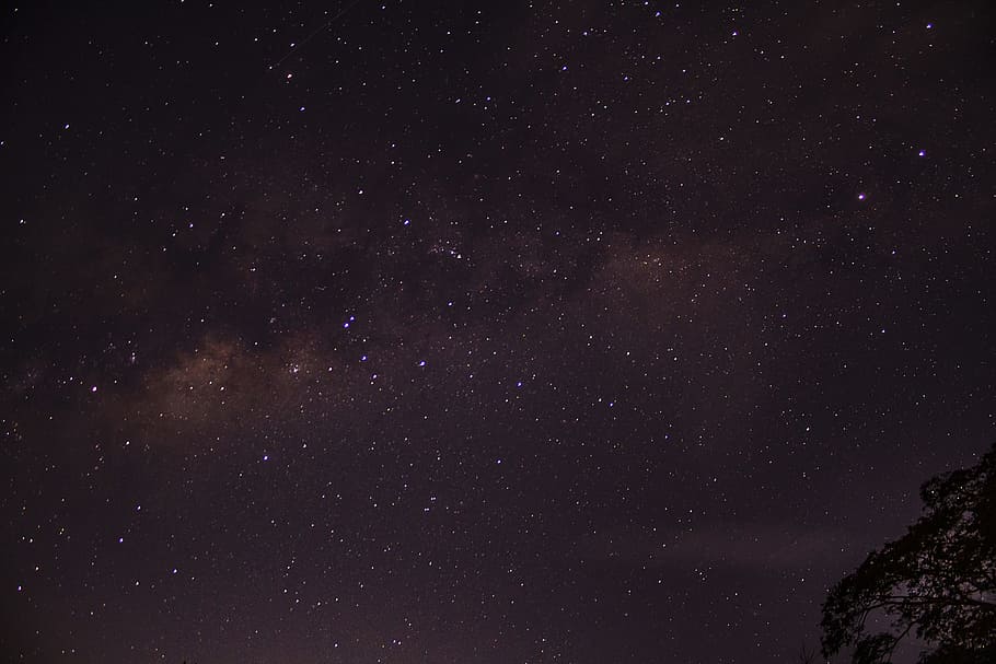 star filled nighttime sky, cosmos, galaxy, tree, purple, dark, HD wallpaper