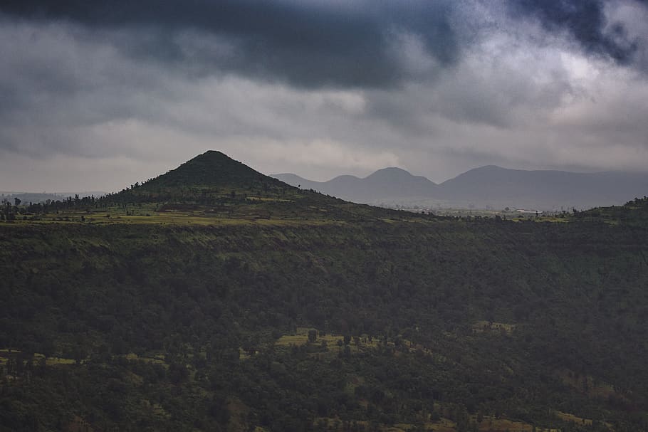 green-leafed trees, nature, outdoors, hill, countryside, india HD wallpaper