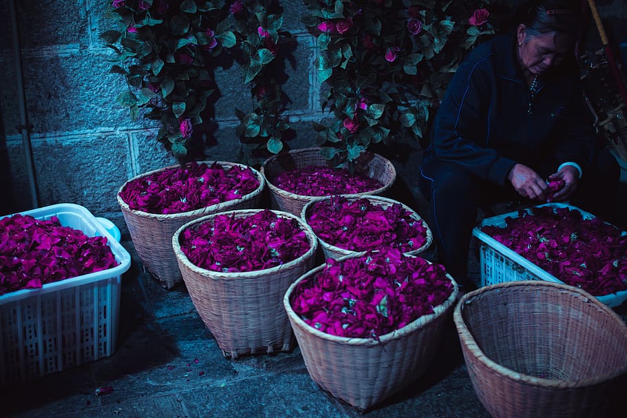 purple flowers in baskets, travel, trip, rose, dali, china, yunnan HD wallpaper