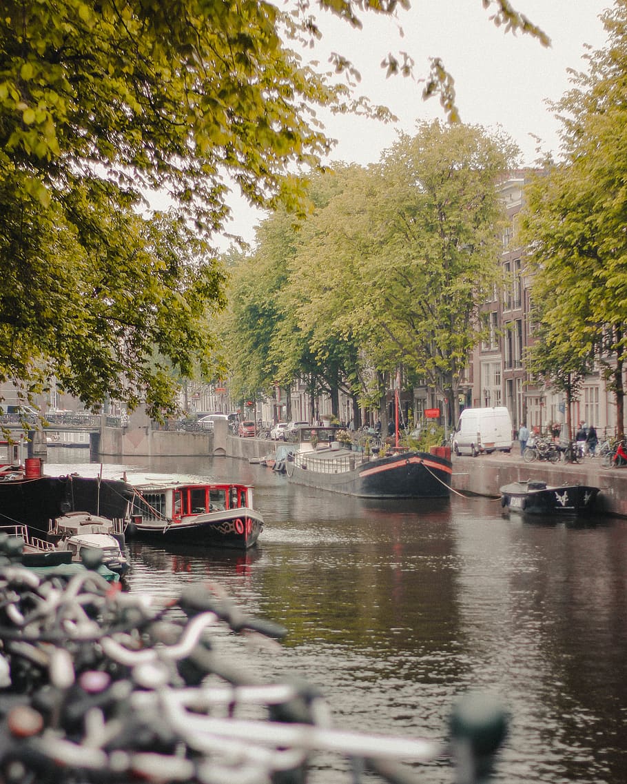 Online crop | HD wallpaper: netherlands, amsterdam, trees, ferry ...