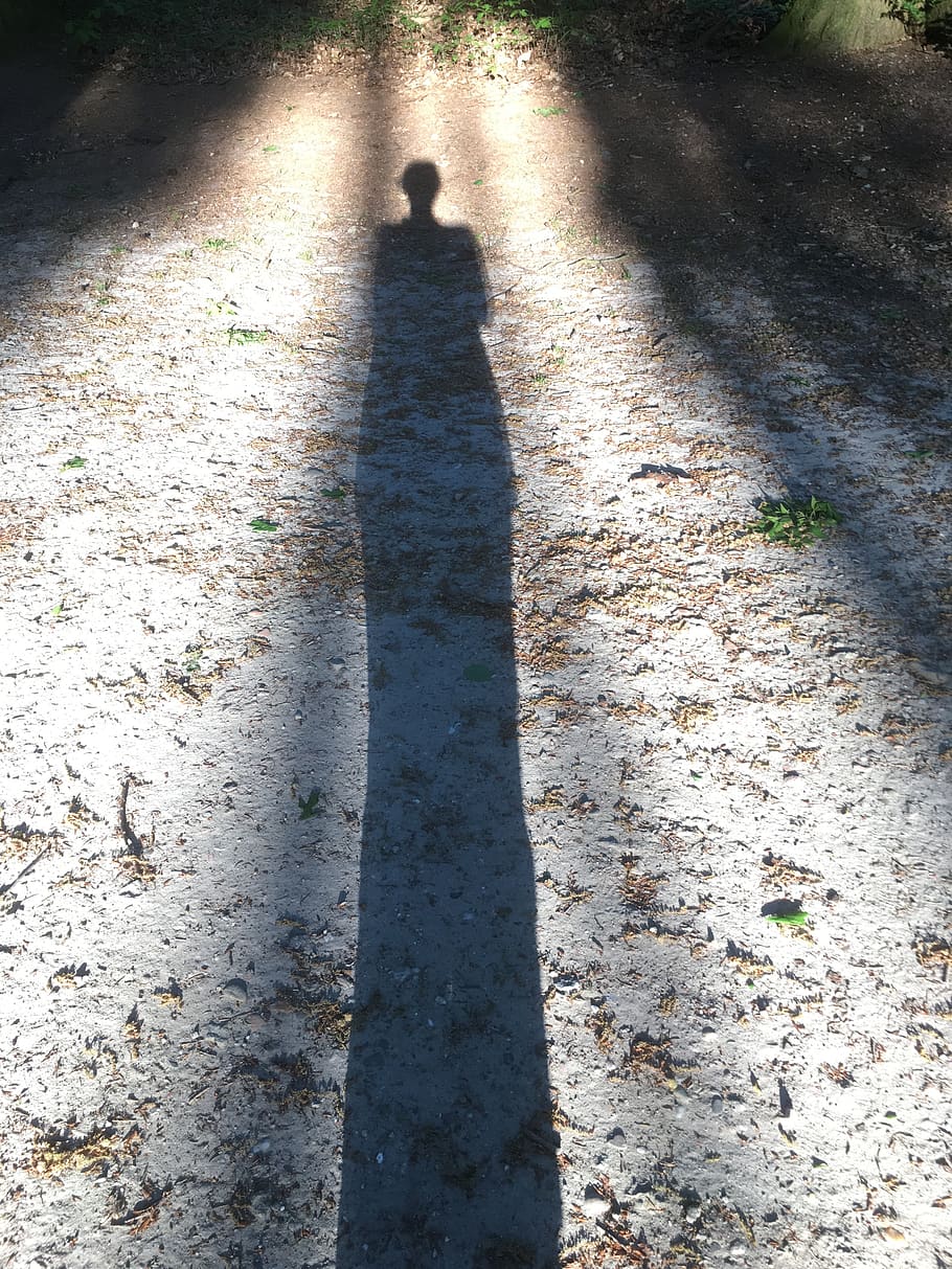 silhouette, shadow, person, sunlight, real people, high angle view HD wallpaper