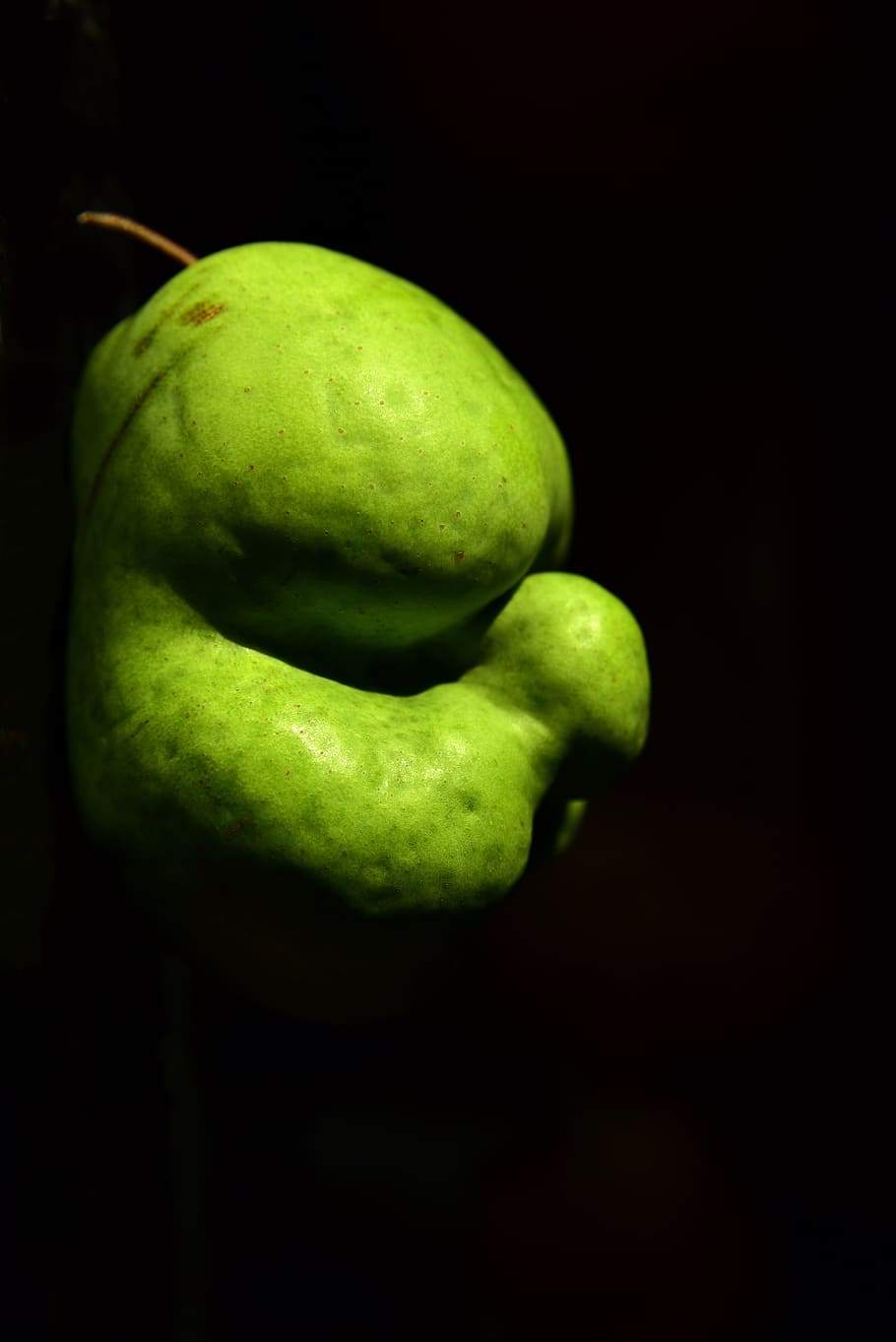 pear, fruit, crippled, misshapen, head, old, kautz, green, gnarled HD wallpaper