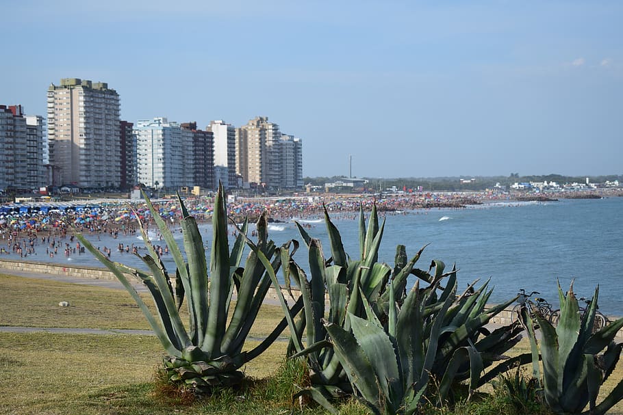 miramar, bs as, argentina, architecture, building exterior HD wallpaper
