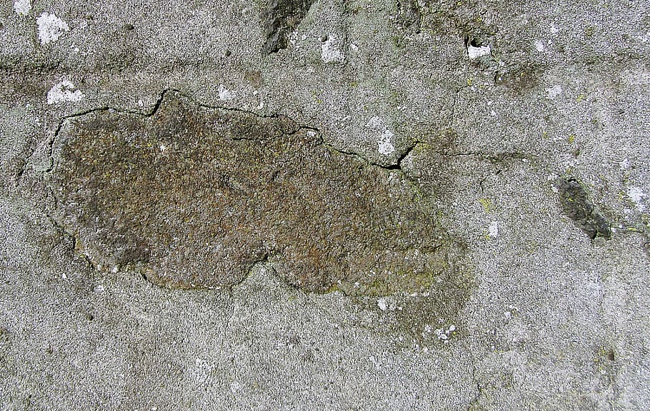 concrete, rock, soil, flagstone, ground, plant, tar, slate HD wallpaper