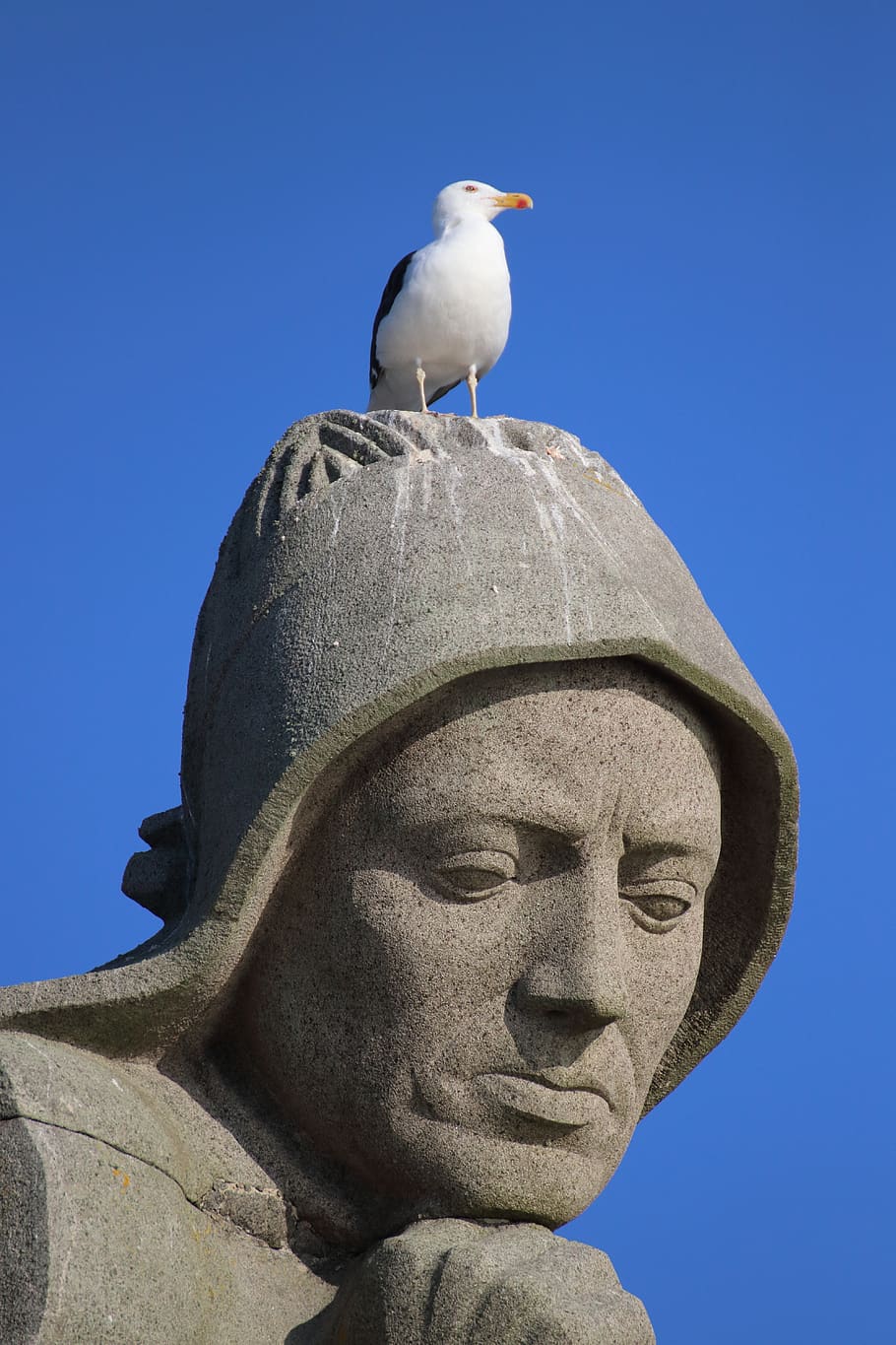 statue, seagull, monument, navy, france, st mathieu, head, stone, HD wallpaper
