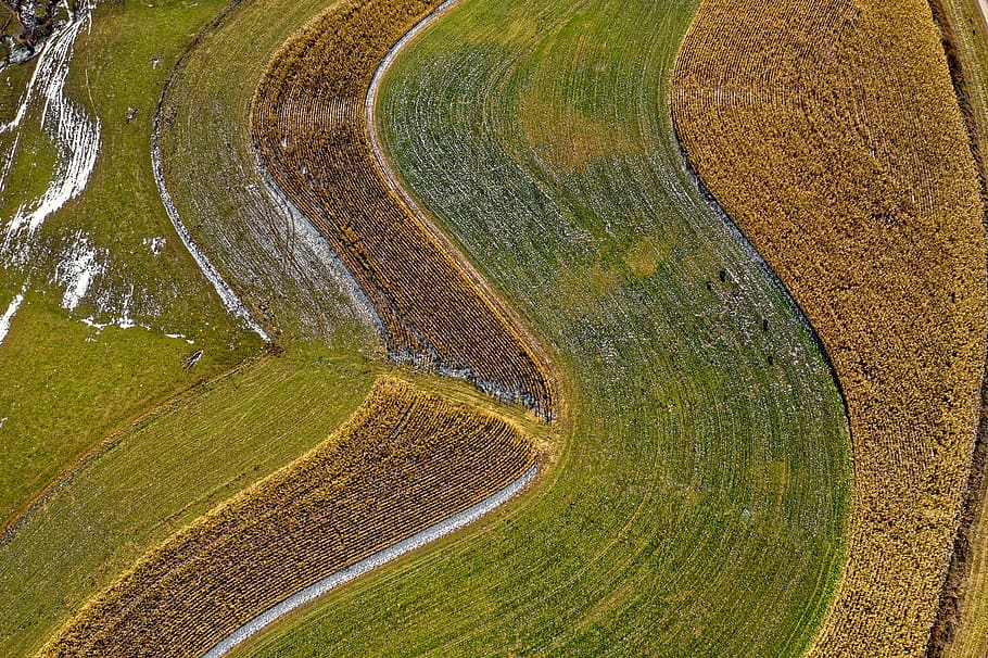 Green Grass, aerial view, bird's eye view, color, cropland, curve, HD wallpaper