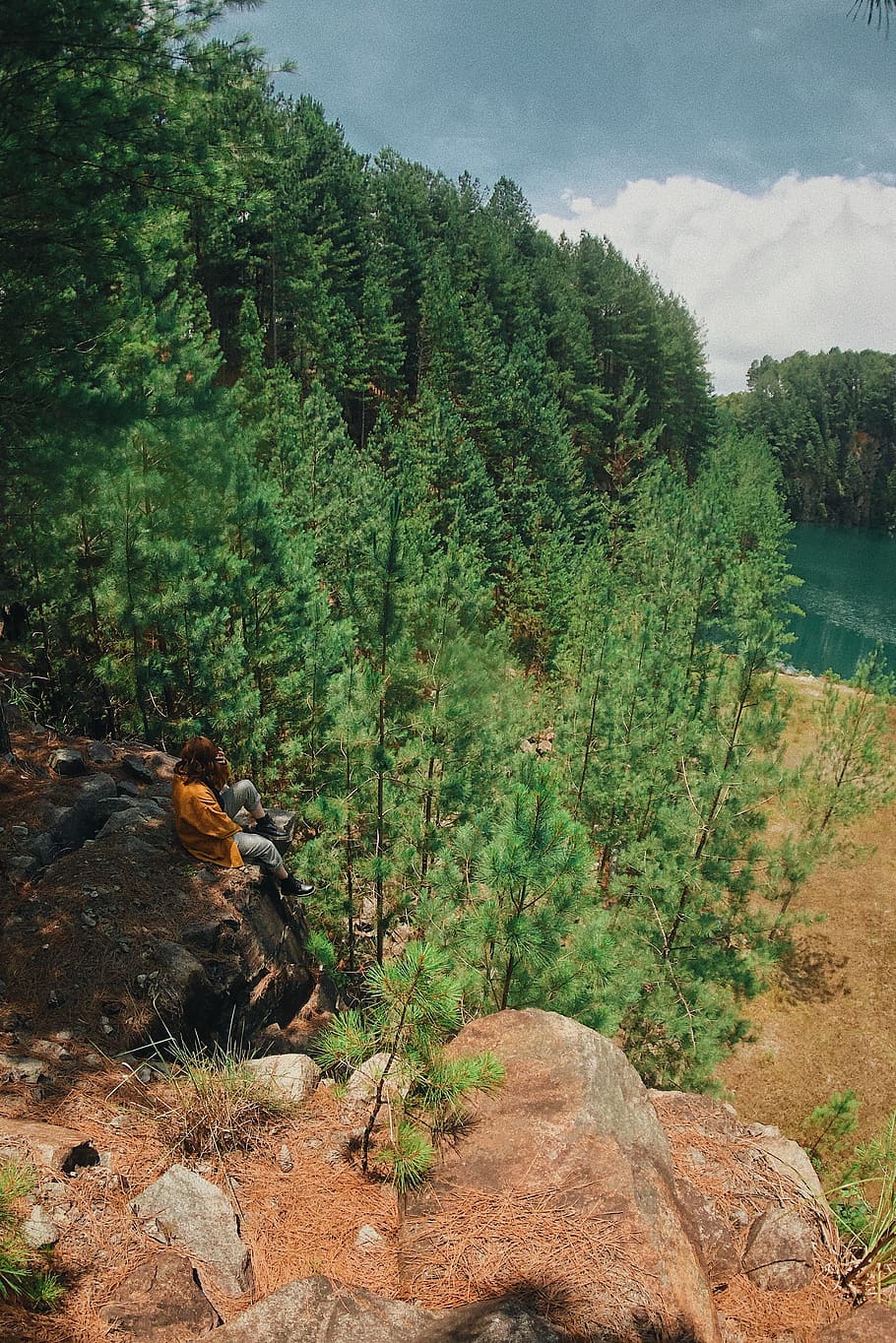 Woman Sitting on Rocks Near Trees, adventure, environment, forest HD wallpaper