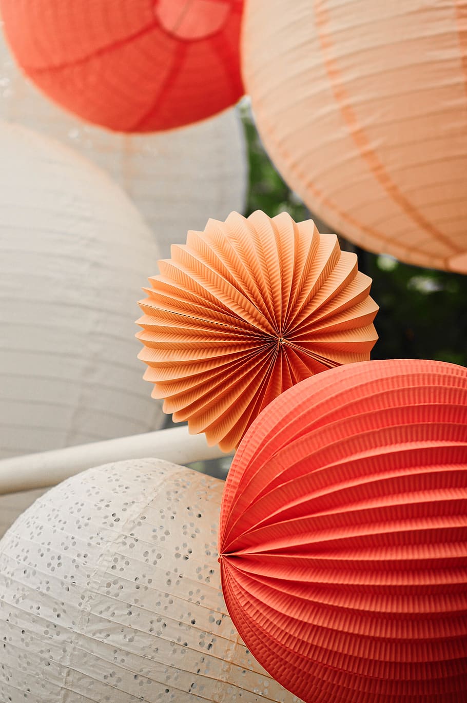wedding, decor, color, orange, party, close-up, focus on foreground HD wallpaper
