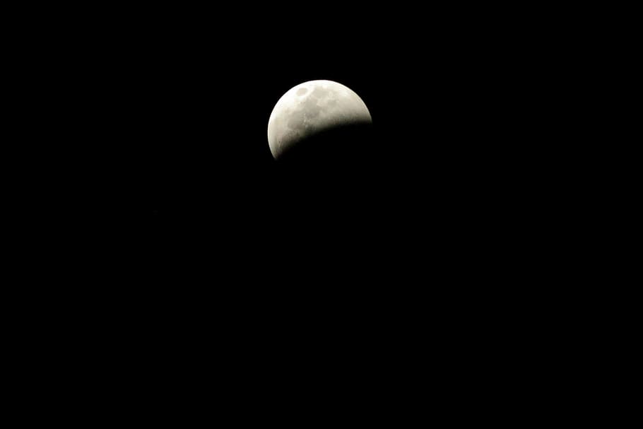 gray moon, night, astronomy, eclipse, space, universe, outer space HD wallpaper
