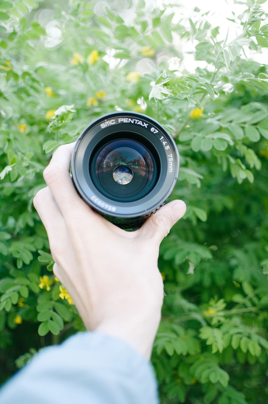 lens, colour, minimal, simple, green, nature, photography, camera HD wallpaper