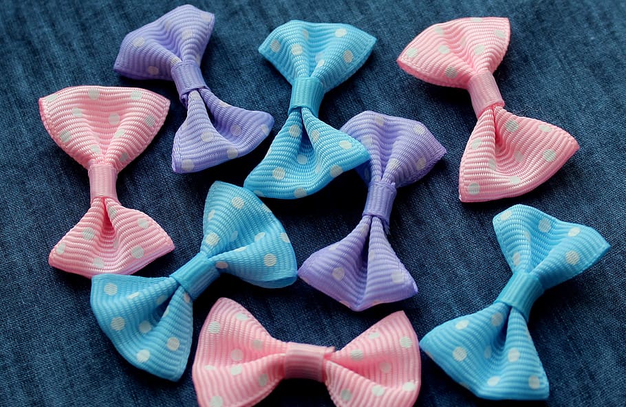bows, cockapoo, colorful, ornaments, decorative, decorative elements HD wallpaper