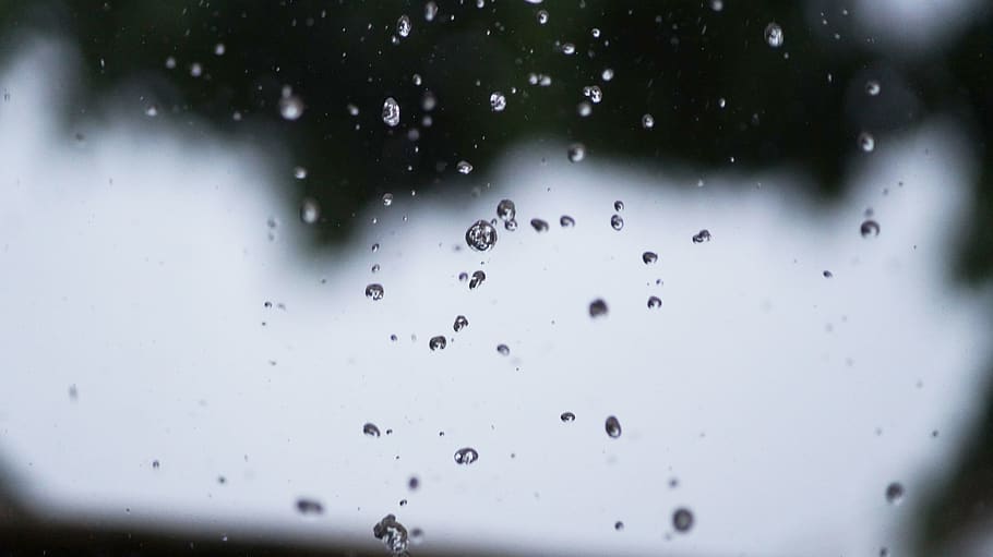 india, coimbatore, water, raindrop, rainy, photo, nature, photography HD wallpaper
