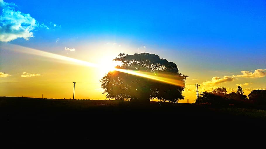 mauritius, sky, sunset, cloud - sky, sunlight, tree, sunbeam HD wallpaper