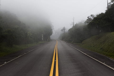 Gray Concrete Pavement Between Green Tall Trees, asphalt, curve HD wallpaper