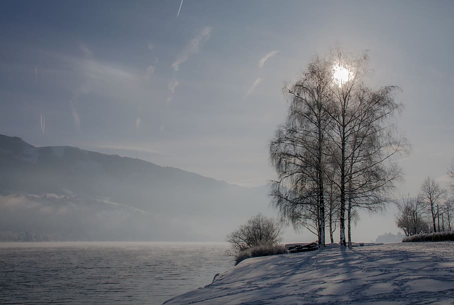 sun, winter, lake, tree, sunlight, ice, clouds, water, snow HD wallpaper