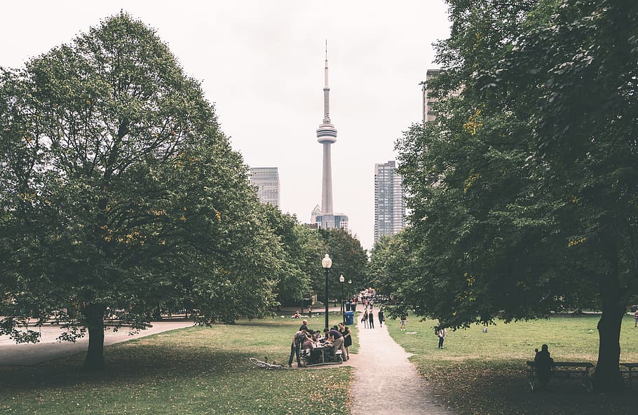grass, plant, park, tree, outdoors, lawn, city, urban, building HD wallpaper