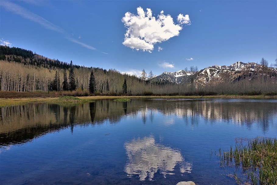 alpine lake, reflection, cloud, hiking, utah, aspen forest HD wallpaper