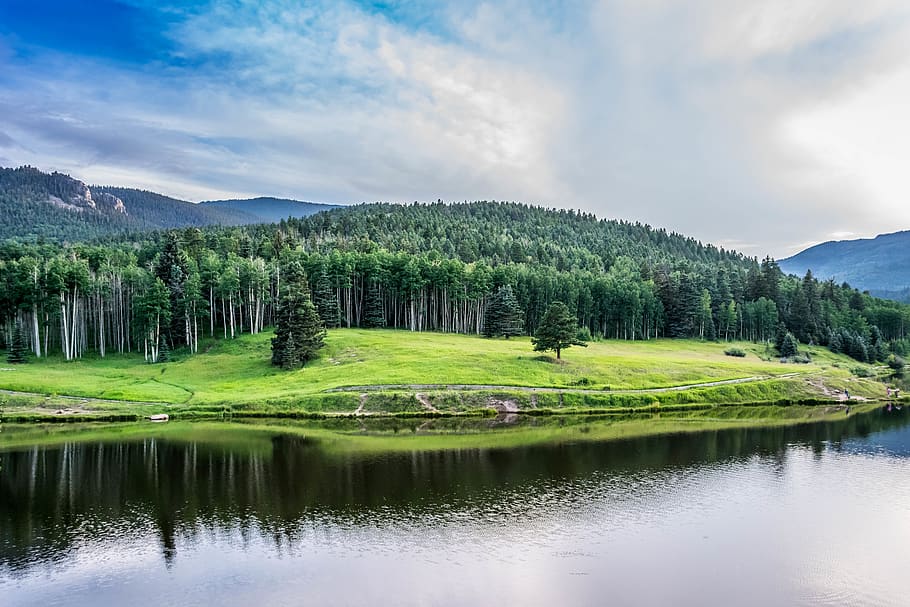 Body of Water Beside Green Leaved Trees Under Blue Cloudy Sky HD wallpaper