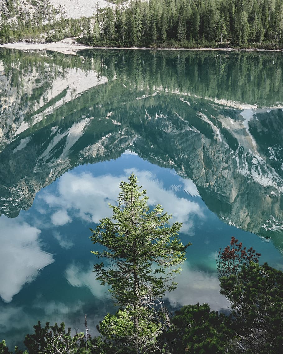 water, tree, beauty in nature, day, reflection, tranquil scene HD wallpaper
