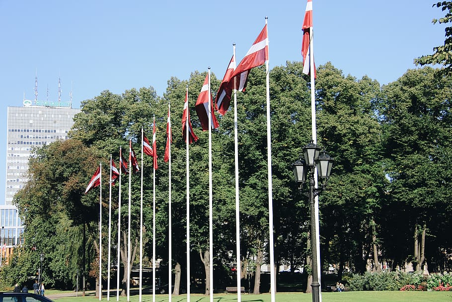 latvia, riga, flags, tree, plant, patriotism, sky, nature, architecture HD wallpaper