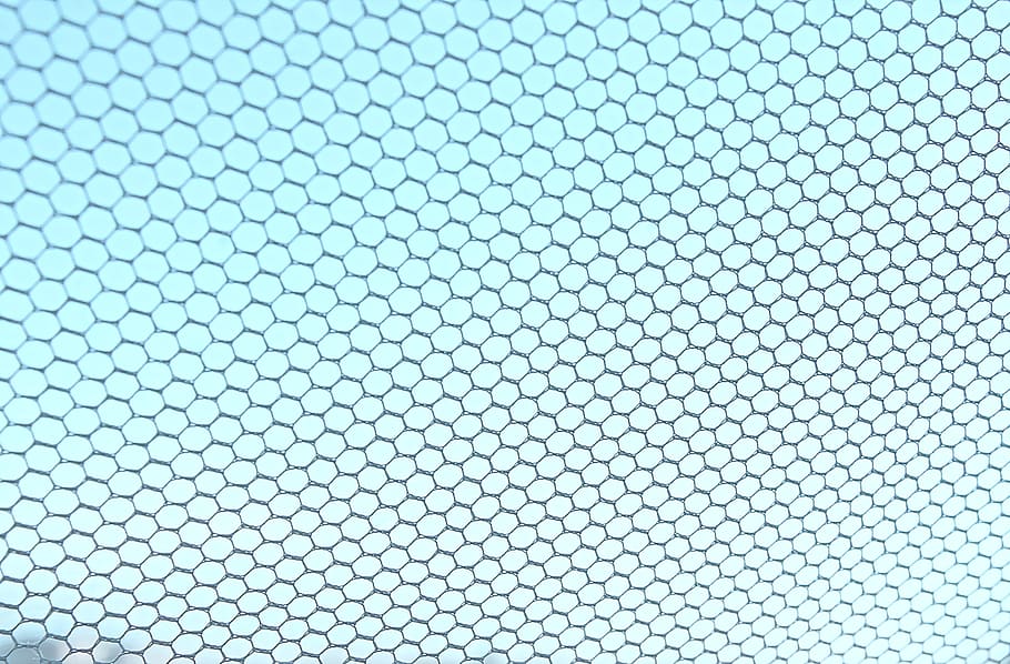 net, web, mosquito, window, pattern, insect, texture, backgrounds HD wallpaper