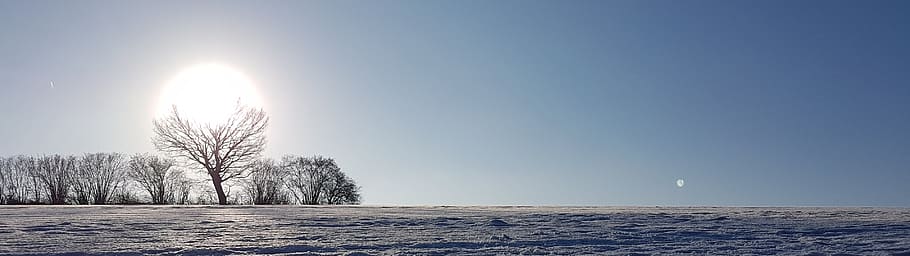 winter, landscape, snow, sky, environment, tree, plant, beauty in nature HD wallpaper