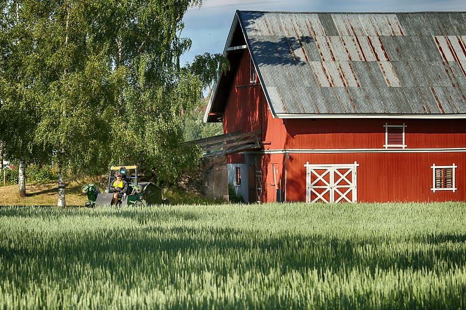 nature, farm, arable, plant, architecture, built structure HD wallpaper