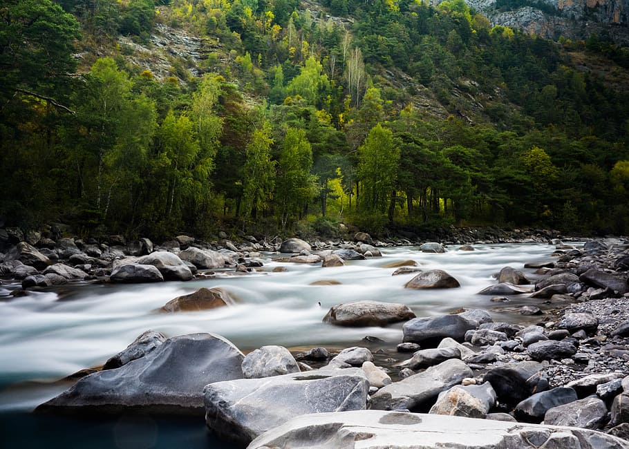 timelapse photograph of rocky river, flowing, stream, water, tree HD wallpaper
