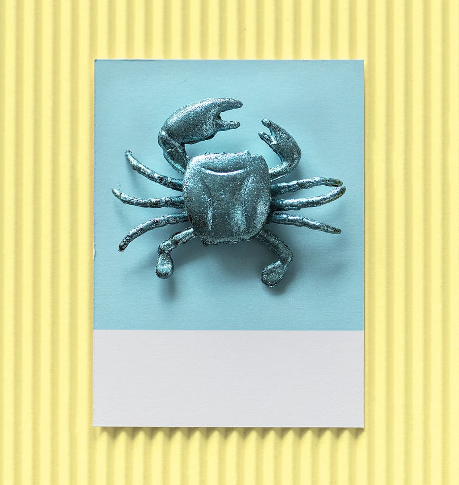 background, blue, card, colorful, confetti, crab, craft, creative