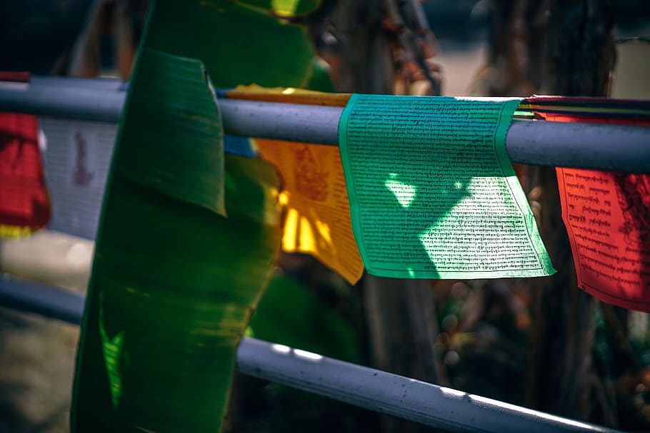 Prayer Flags, focus on foreground, day, close-up, green color HD wallpaper