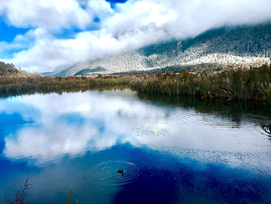 calm body of water, 6334 te anau-milford hwy, new zealand, fiordland national park, HD wallpaper