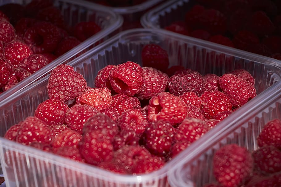 raspberry, red, vitamins, ripe, food, food and drink, berry fruit HD wallpaper