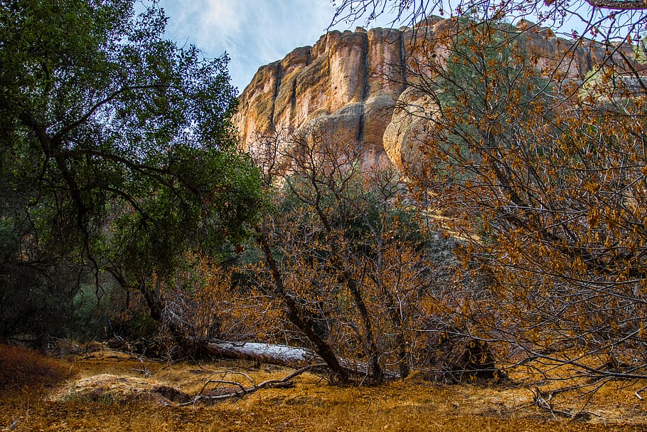 trees, mountain, fall, plant, beauty in nature, rock, scenics - nature HD wallpaper