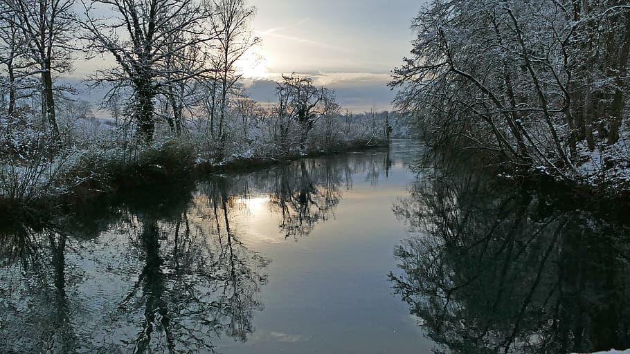 landscape, nature, river, limmat, trees, sun, morning, light HD wallpaper