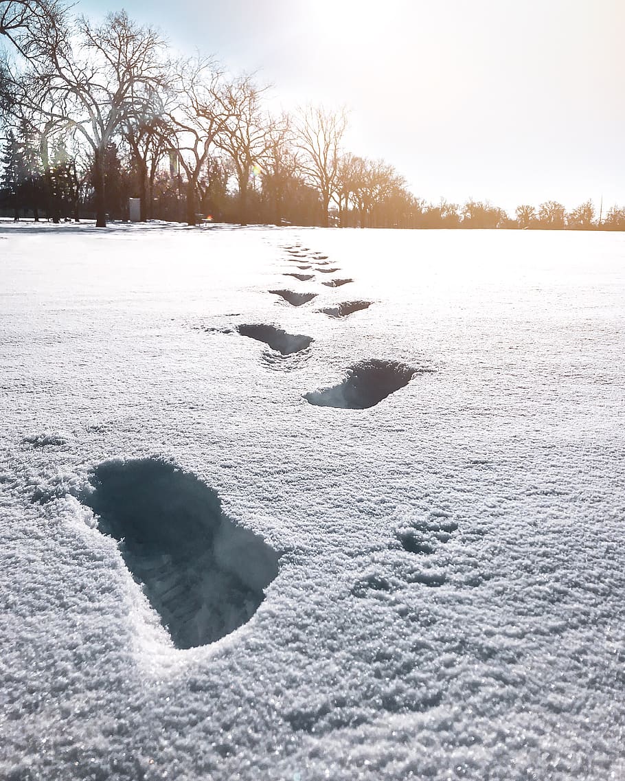 foot, footsteps, snow, white, sunny, mood, light, nature, iphone HD wallpaper