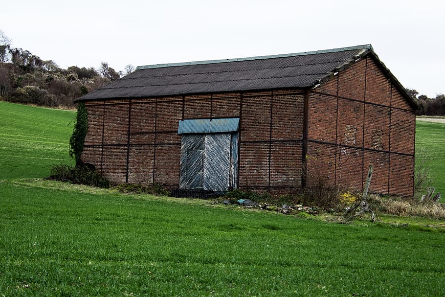 house, bricks, red, rust, rainy, field, green, architecture HD wallpaper
