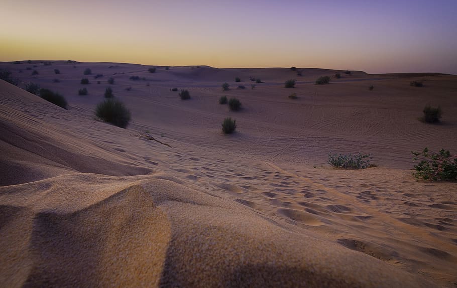 desert photography, landscape, sand, environment, sky, sand dune HD wallpaper