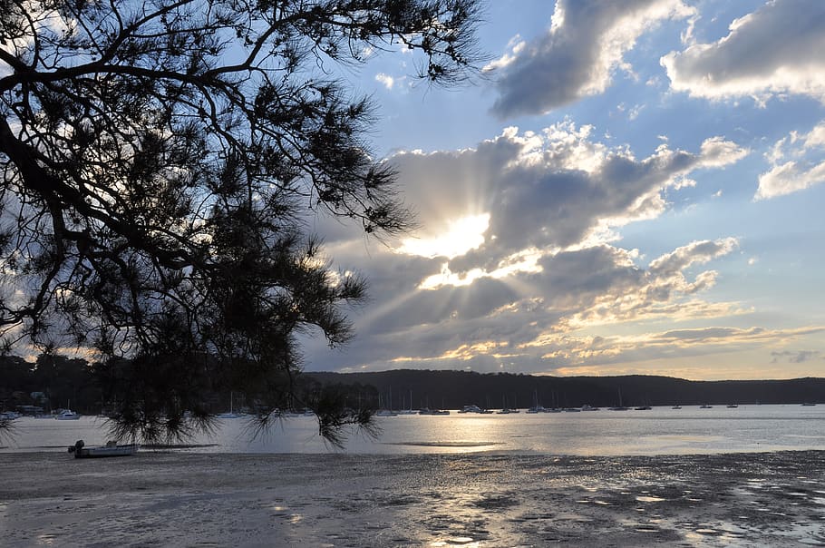 pittwater, twilight, silver, clouds, sky, tree, beauty in nature HD wallpaper
