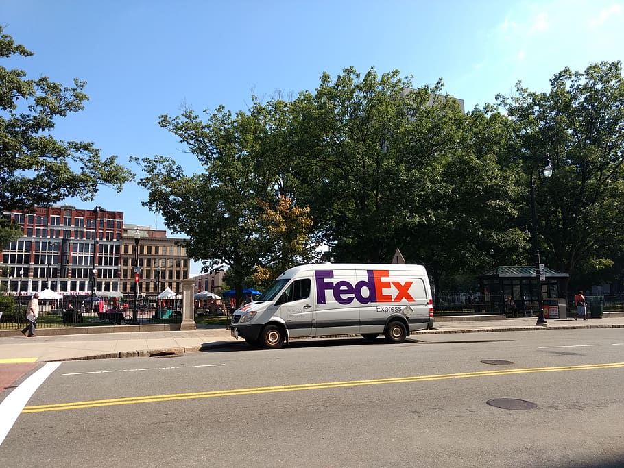united states, worcester, transportation, tree, mode of transportation HD wallpaper